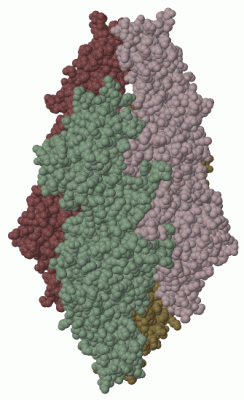 Image Biol.Unit 1 - manually