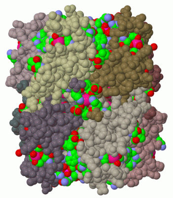 Image Biol.Unit 1 - manually