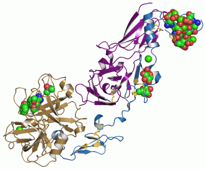 Image Asym./Biol. Unit - manually