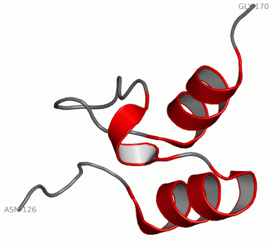 Image NMR Structure - manually