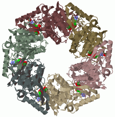 Image Biol.Unit 1 - manually