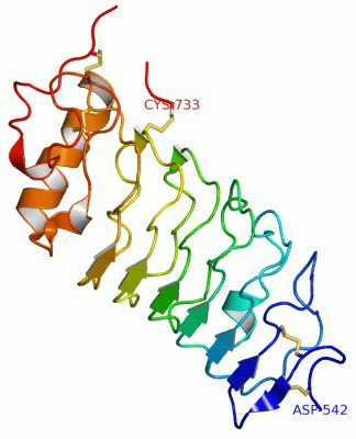 Image Asym./Biol. Unit - manually