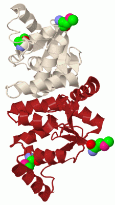 Image Biol.Unit 1 - manually