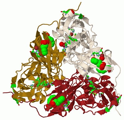 Image Biol.Unit 1 - manually