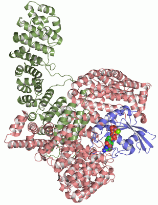 Image Asym./Biol. Unit - manually