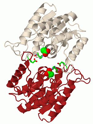 Image Biol.Unit 1 - manually