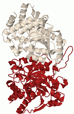 Image Biol.Unit 1 - manually