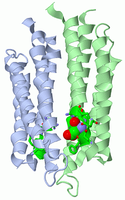 Image Asym./Biol. Unit - manually