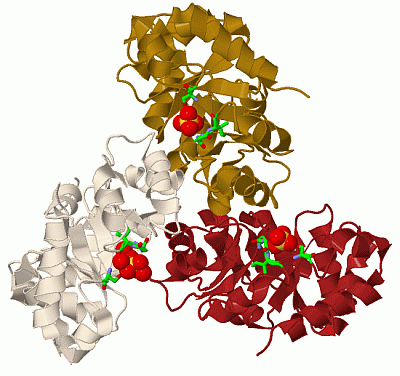 Image Biol.Unit 1 - manually