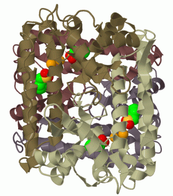 Image Biol.Unit 1 - manually