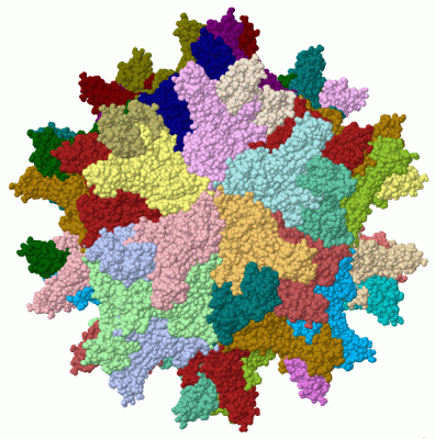 Image Biol.Unit 1 - manually