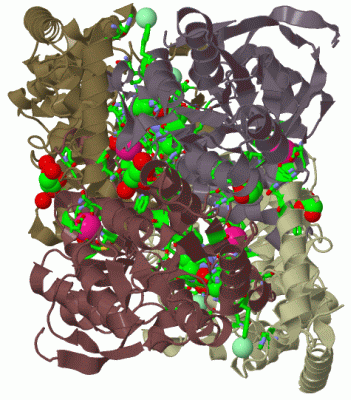 Image Biol.Unit 1 - manually