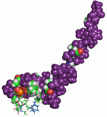 Image NMR Structure - manually