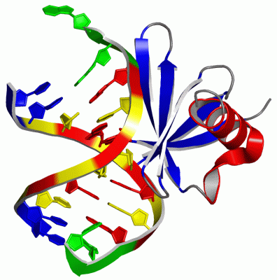 Image Asym./Biol. Unit - manually