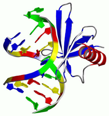 Image Asym./Biol. Unit - manually