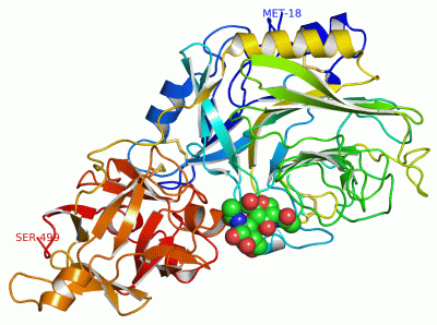 Image Asym./Biol. Unit - manually