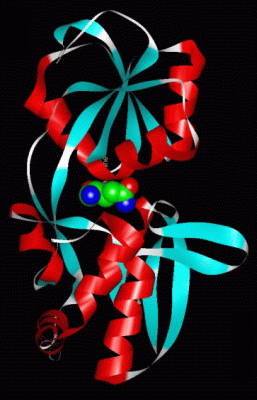 Image Asym./Biol. Unit - manually
