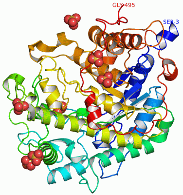 Image Asym./Biol. Unit - manually