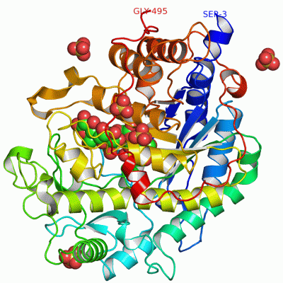 Image Asym./Biol. Unit - manually