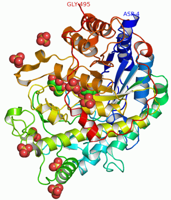 Image Asym./Biol. Unit - manually