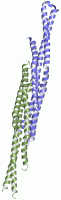 Image Asym./Biol. Unit - manually