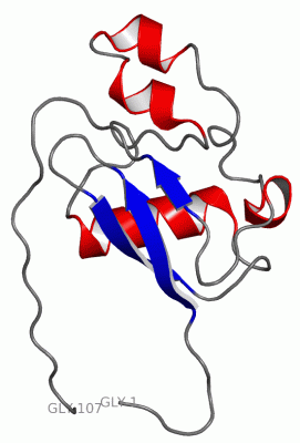 Image NMR Structure - manually