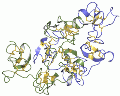 Image Asym./Biol. Unit - manually