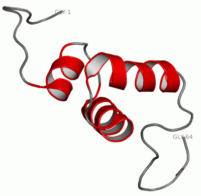 Image NMR Structure - manually