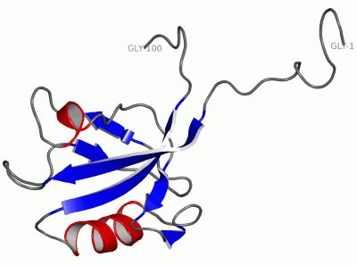 Image NMR Structure - manually