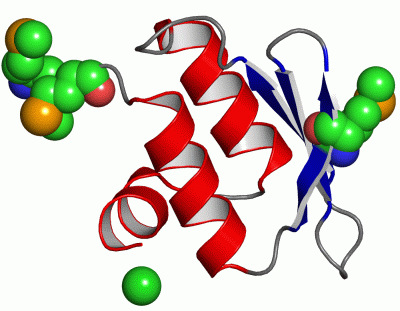 Image Asym./Biol. Unit - manually