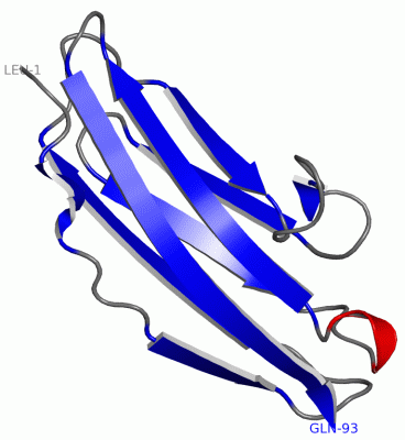 Image NMR Structure - manually