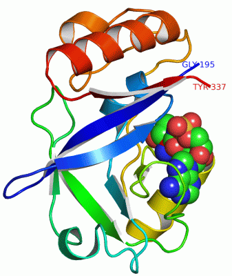 Image Asym./Biol. Unit - manually