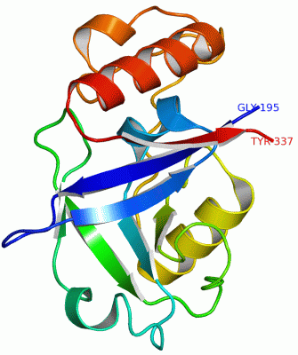 Image Asym./Biol. Unit - manually