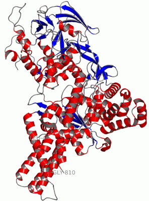 Image Asym./Biol. Unit - manually