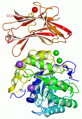 Image Asym./Biol. Unit - manually