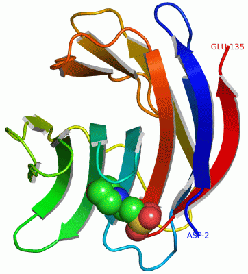 Image Asym.Unit - manually