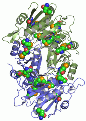 Image Asym./Biol. Unit - manually