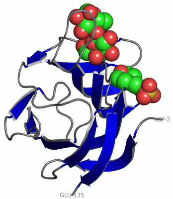 Image Asym.Unit - manually
