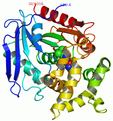 Image Asym./Biol. Unit - manually