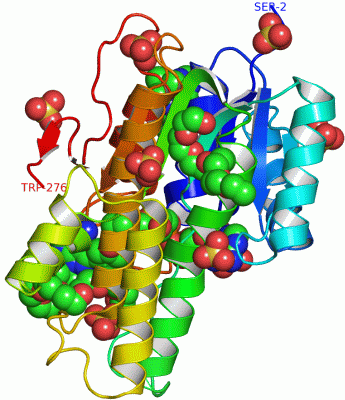 Image Asym./Biol. Unit - manually