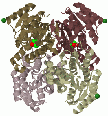 Image Biol.Unit 1 - manually