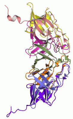 Image Asym./Biol. Unit - manually