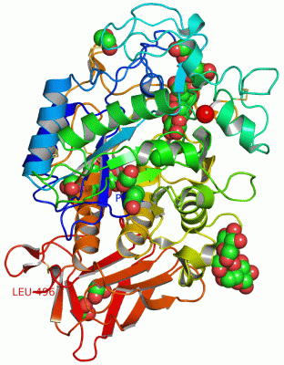 Image Asym./Biol. Unit - manually