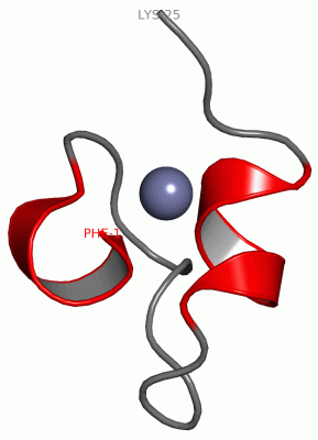 Image NMR Structure - manually