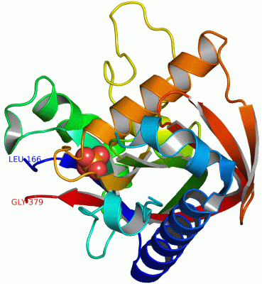 Image Asym./Biol. Unit - manually