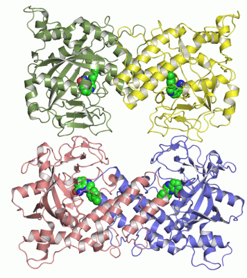 Image Asym./Biol. Unit - manually