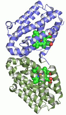 Image Asym./Biol. Unit - manually