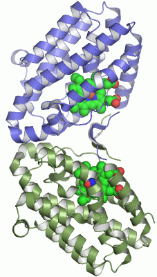 Image Asym./Biol. Unit - manually