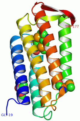 Image Asym.Unit - manually