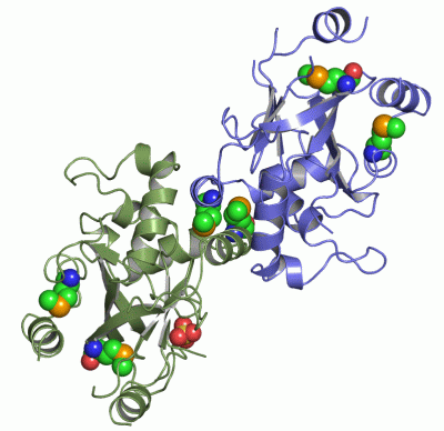 Image Asym./Biol. Unit - manually